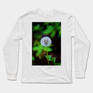 Dandelion Clock Long Sleeve T-Shirt